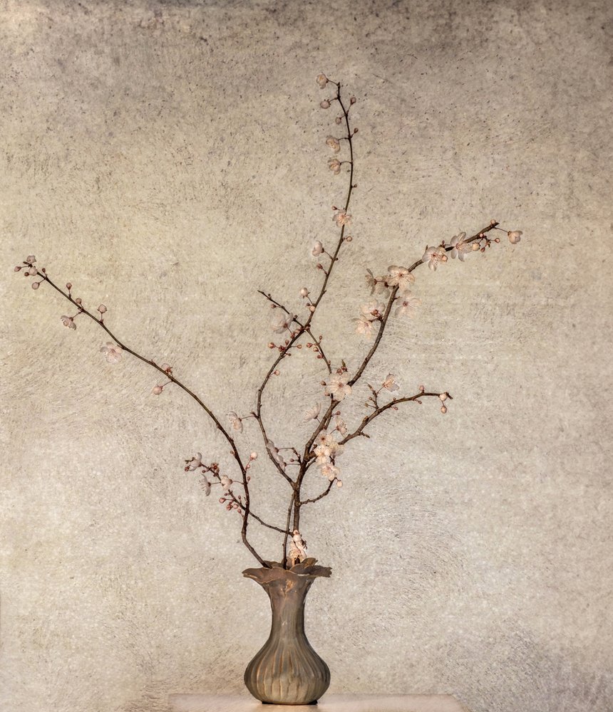 Delicate Spring Blossoms by Marie-anne Stas