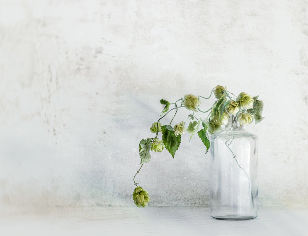 Fresh Hops in Bottle by Marie-anne Stas