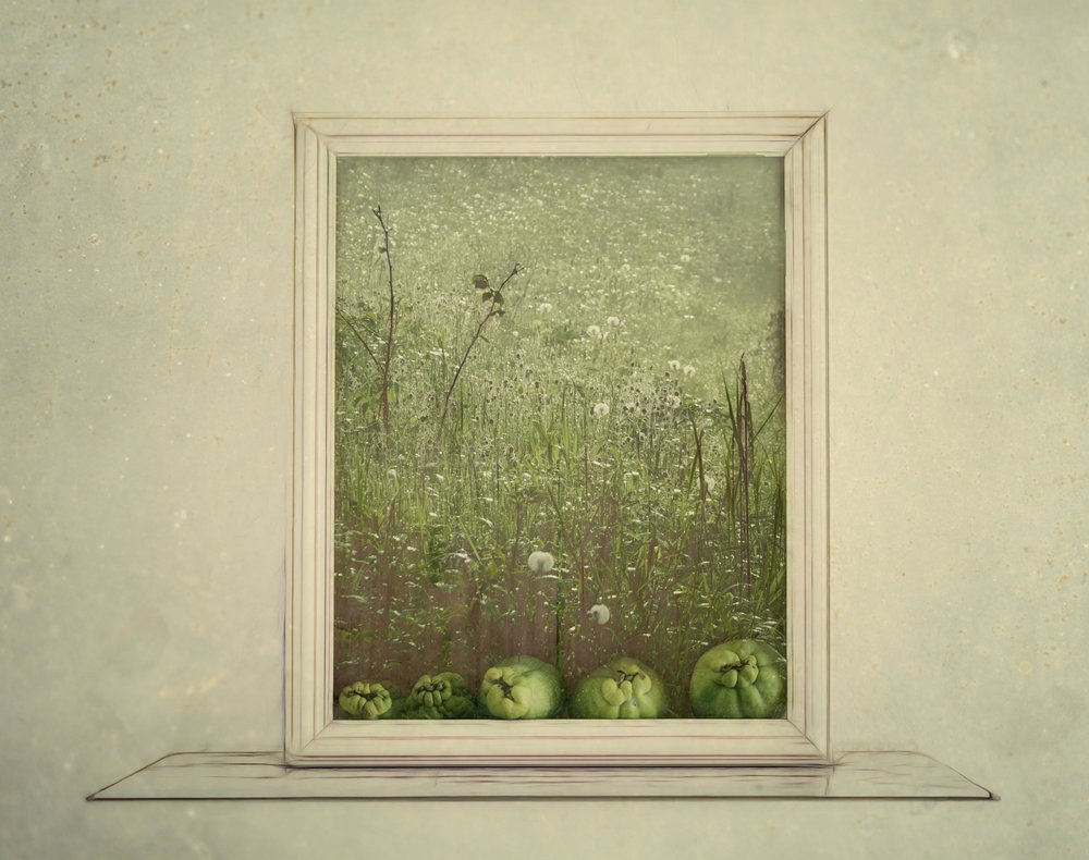 Green Meadow Still Life by Marie-anne Stas