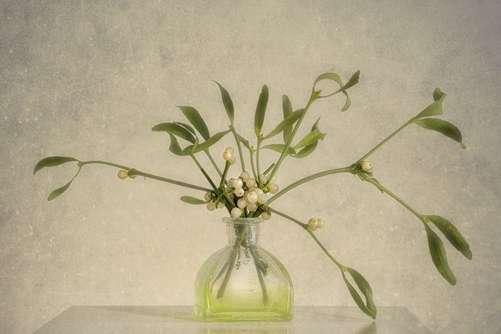 Mistletoe Berries In Vase by Marie-anne Stas