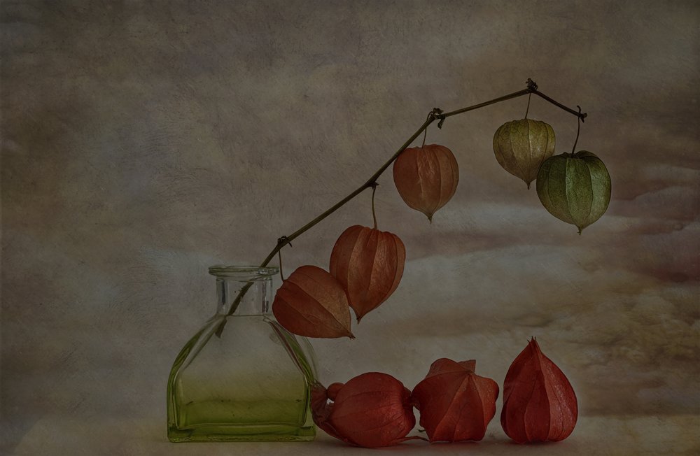 Quiet Autumn Lanterns by Marie-anne Stas