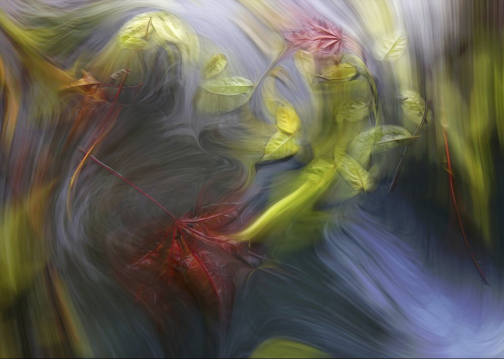 Swirling Autumn Flow by Marijose Cueli