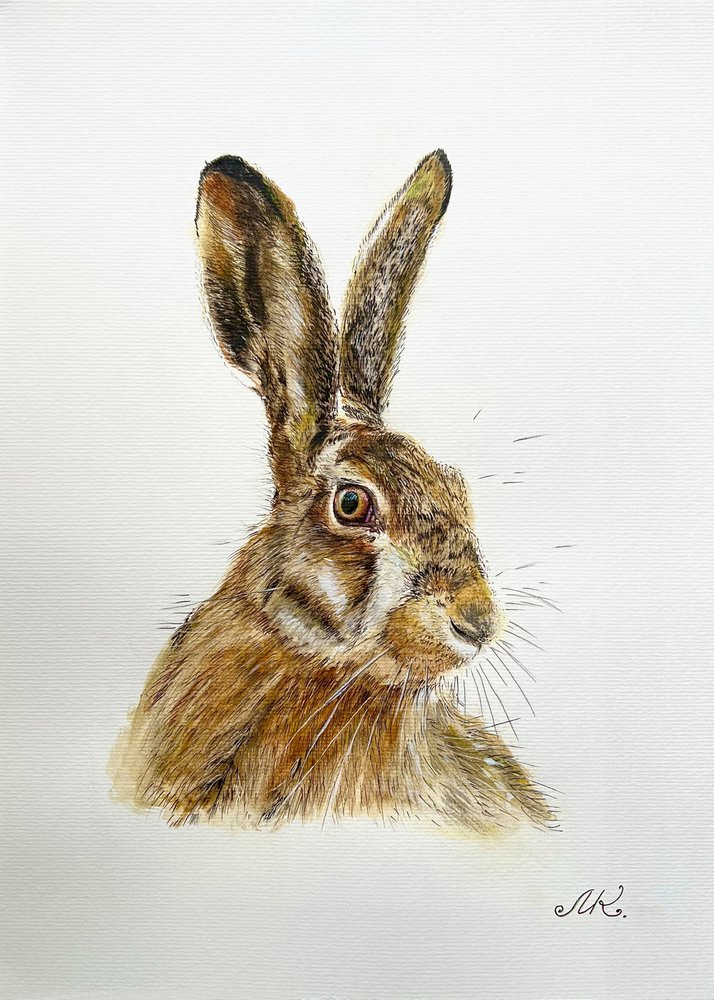 Alert Hare Portrait by Marina Kozyr