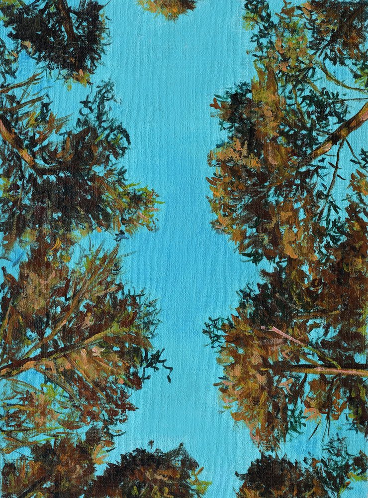 Autumn Trees Looking Up by Marina Kozyr