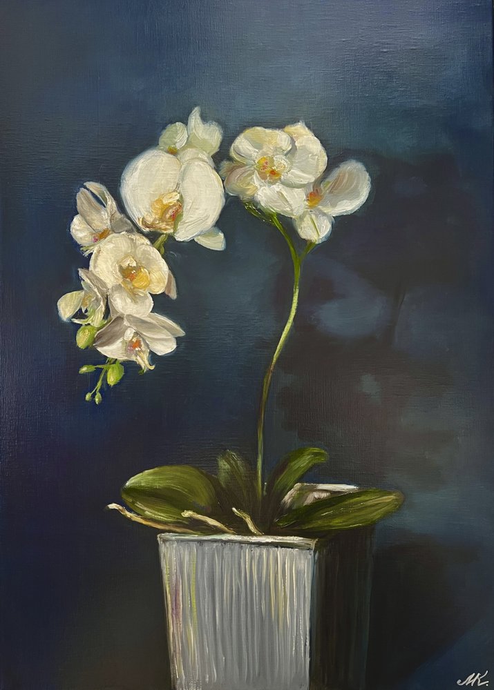 Elegant Potted Orchid by Marina Kozyr