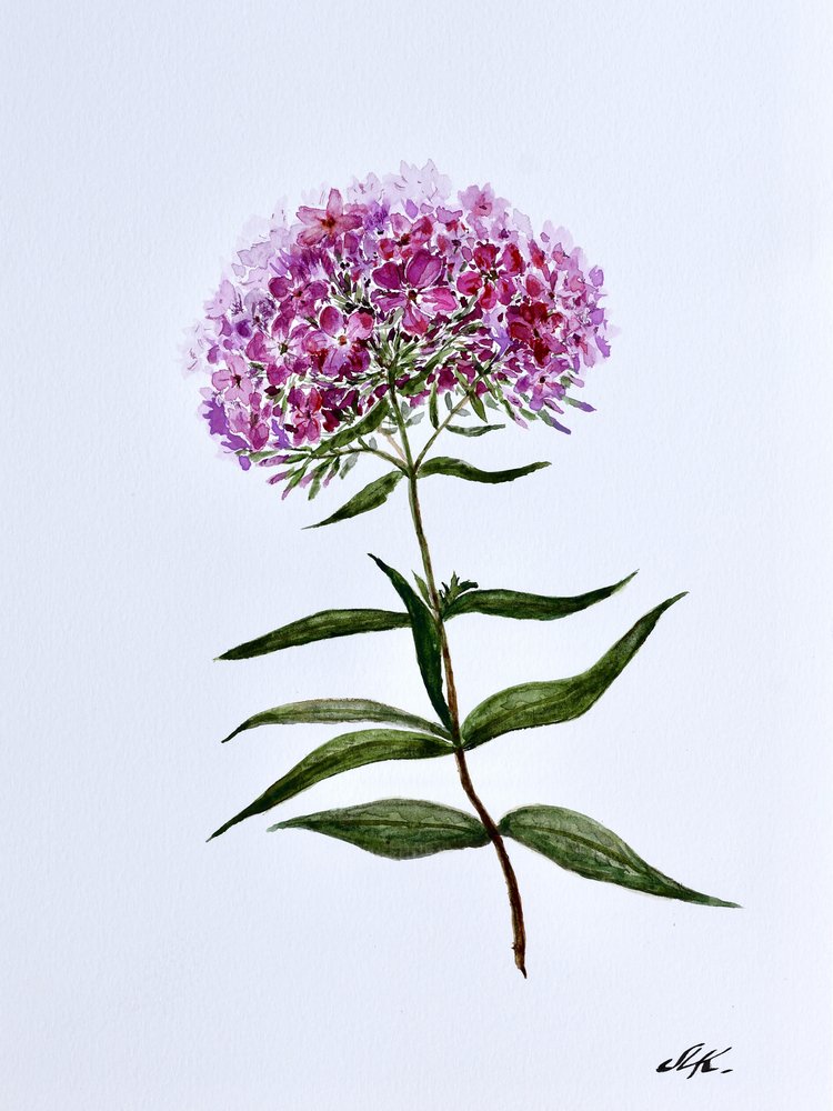 Vibrant Botanical Bloom by Marina Kozyr