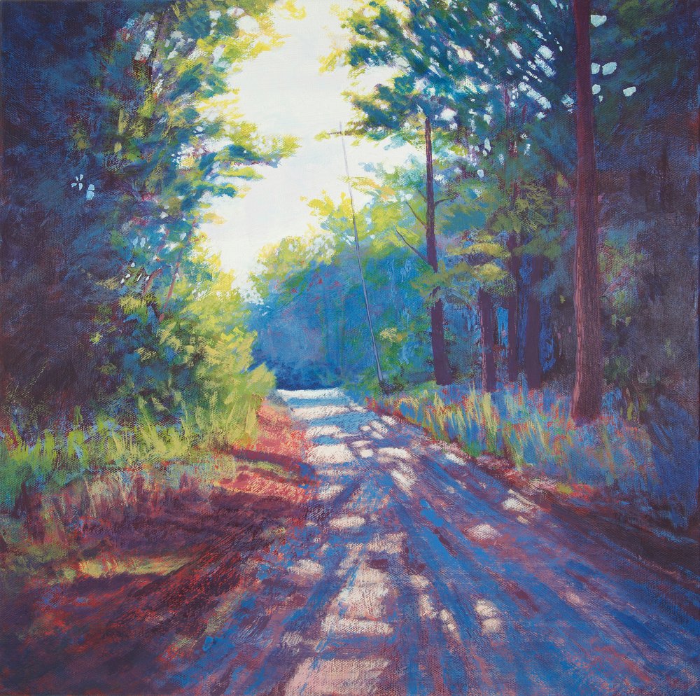 Sunlit Country Road by Matt Dominger