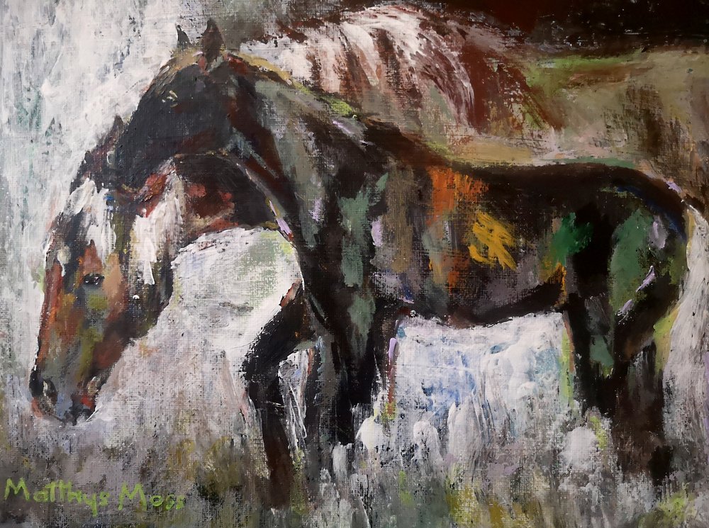 Colorful Wild Horses by Matthys Moss