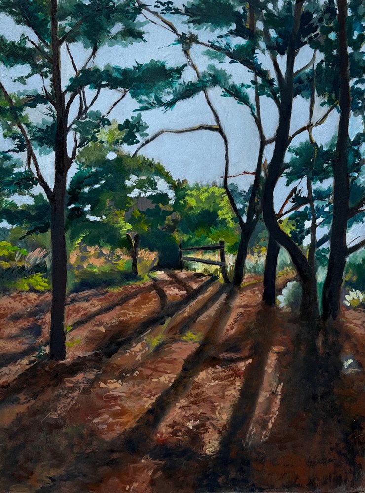 Forest Trail Long Shadows by Maxine Shore