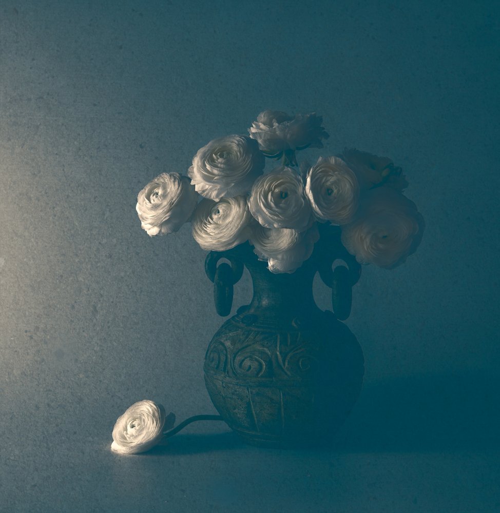 Classic Ranunculus Still Life by May G