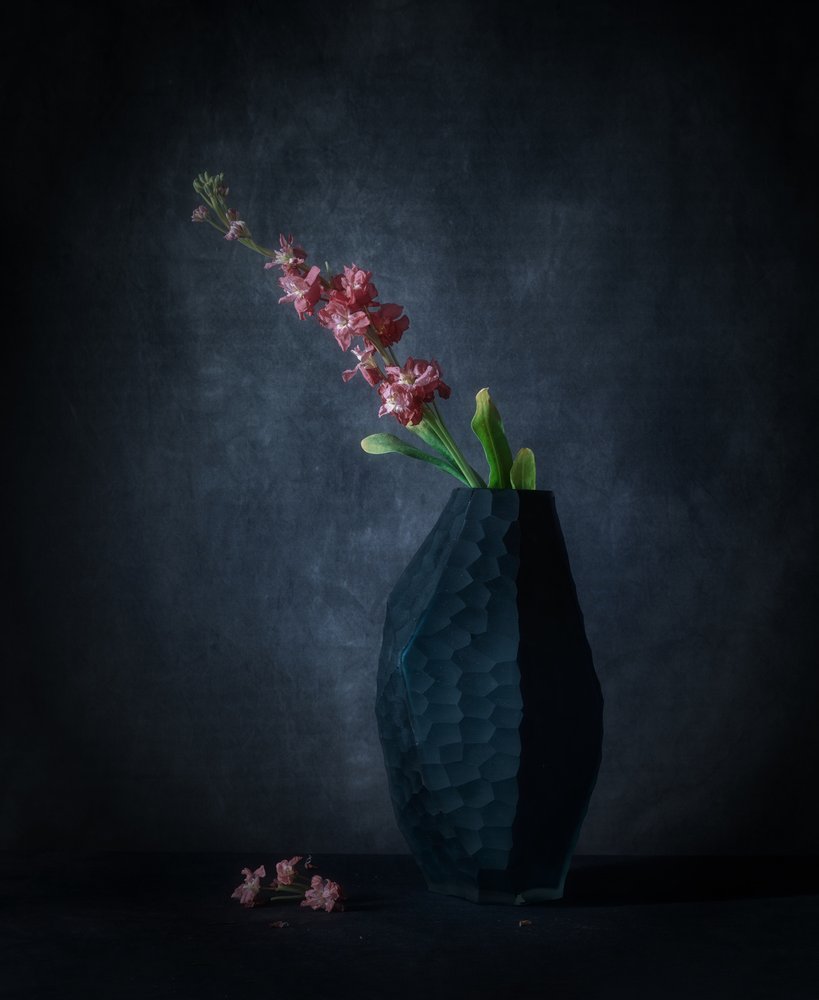 Dark Floral Elegance by May G