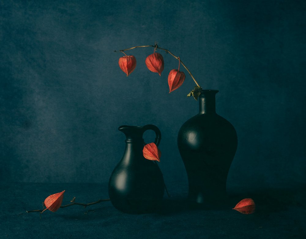 Moody Chinese Lanterns by May G