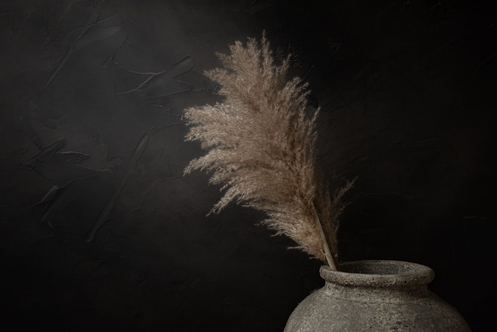 Dark Rustic Pampas by Mayra Pama