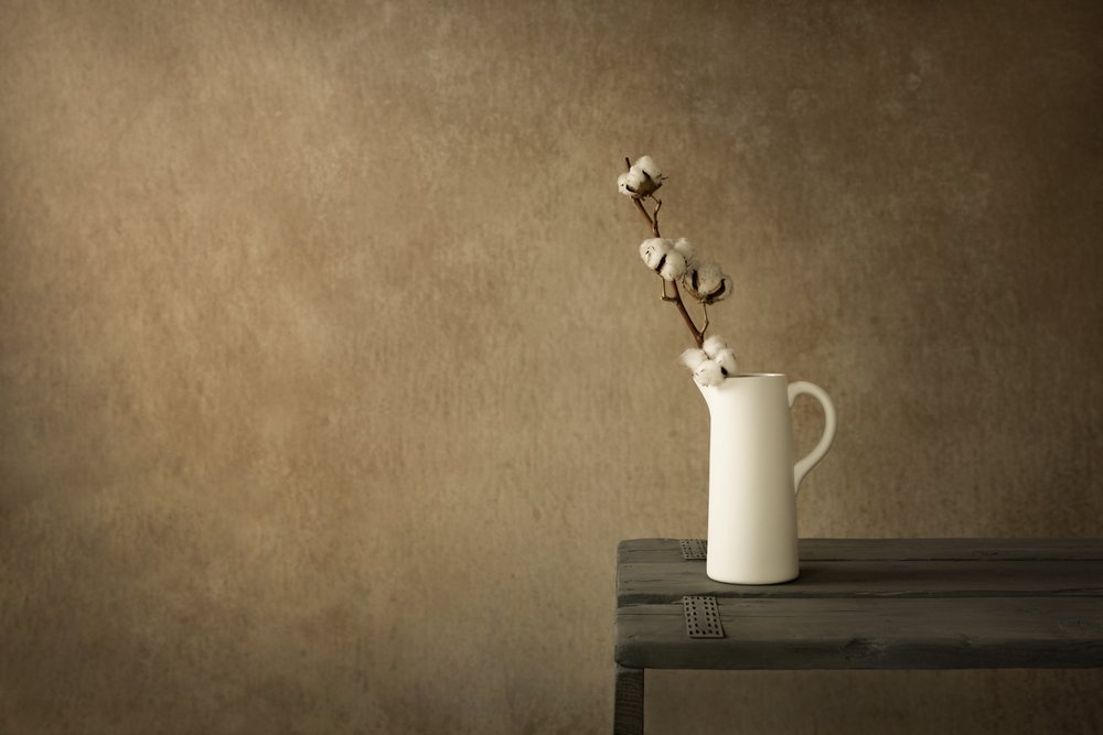 Rustic Cotton Still Life by Mayra Pama