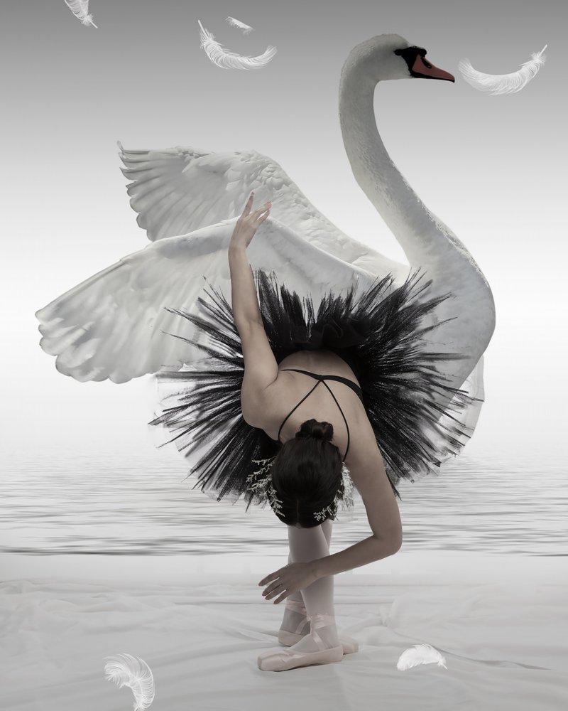 Black Swan Ballerina by Mieke