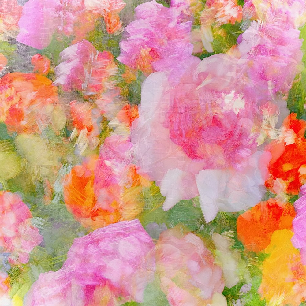 Dreamy Floral Abstract by Molly Fu APA