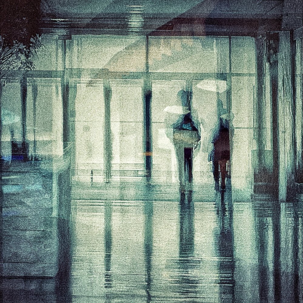 Rainy Day Reflections by Molly Fu APA
