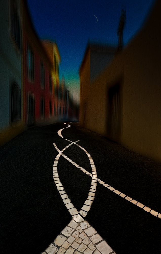 Winding Moonlit Path by Molly Fu APA