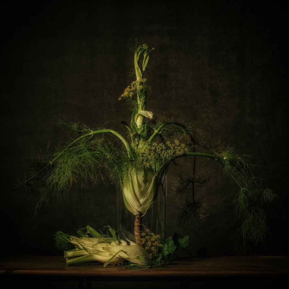 Moody Fennel Still Life by Monique van Velzen