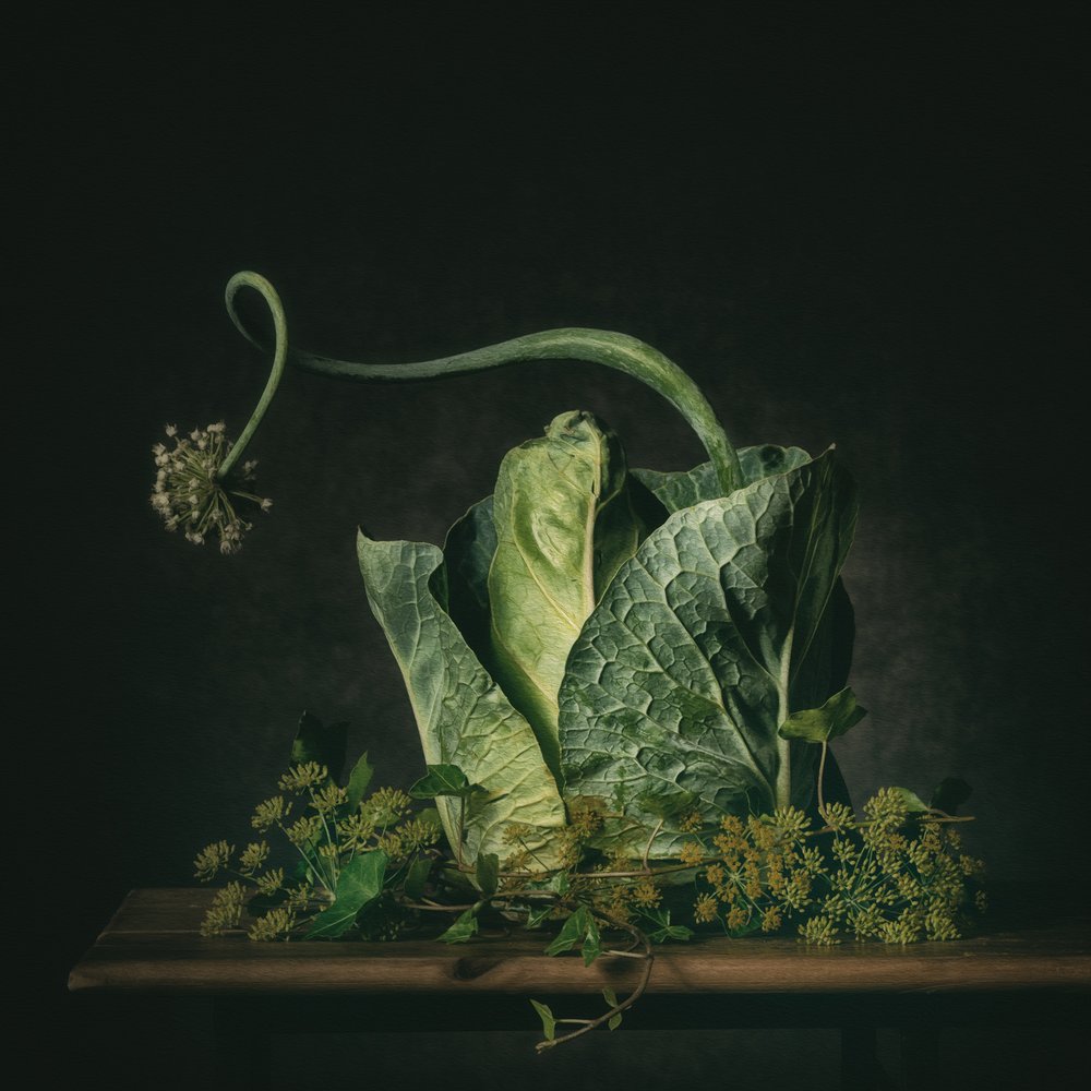 Moody Green Still Life by Monique van Velzen