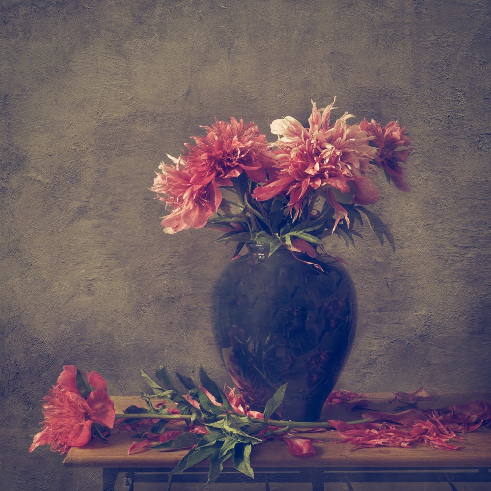Moody Peony Still Life by Monique van Velzen