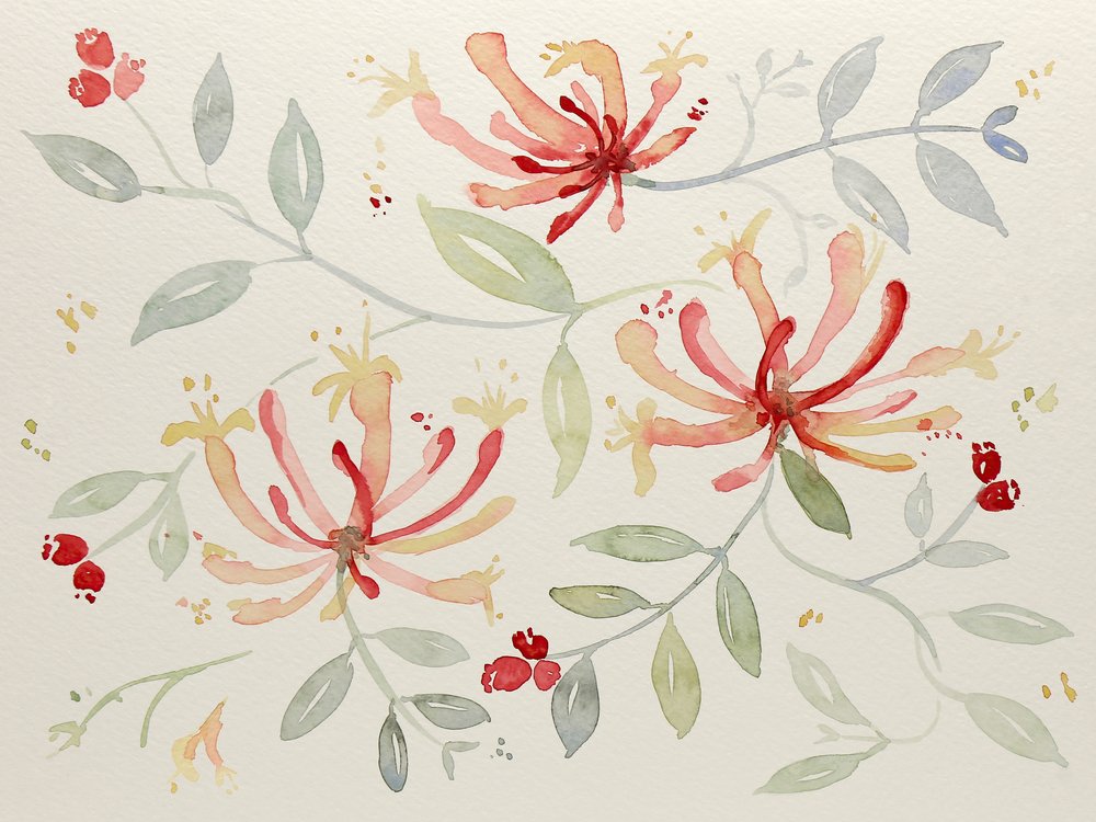 Delicate Watercolor Botanicals by Natalie Bruns