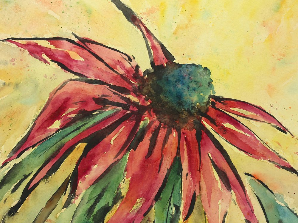 Vibrant Red Coneflower by Natalie Bruns