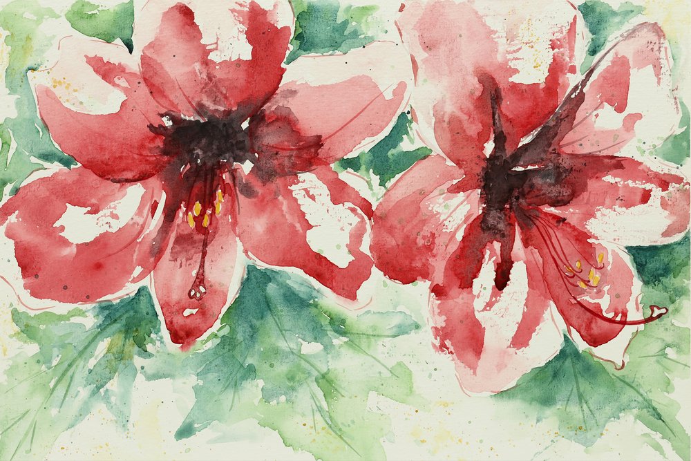 Vibrant Red Flowers by Natalie Bruns