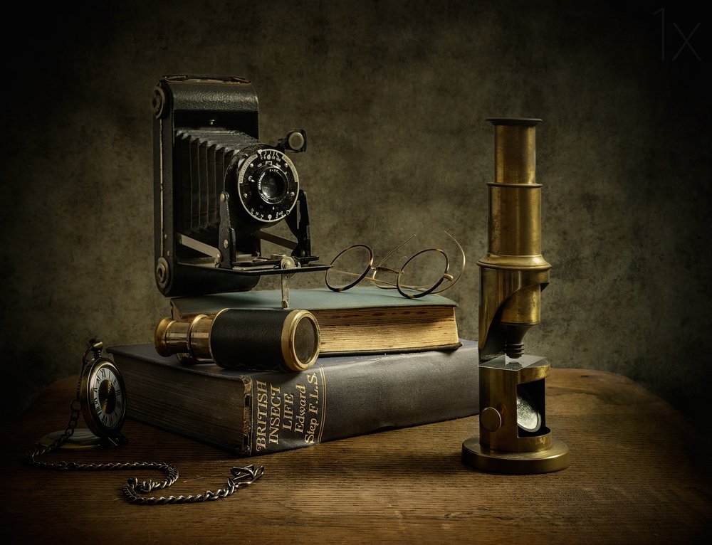 Old World Study by Nick Walton