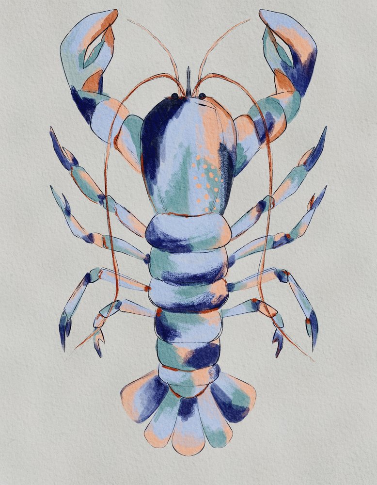 Colorful Blue Lobster by Nikita Jariwala