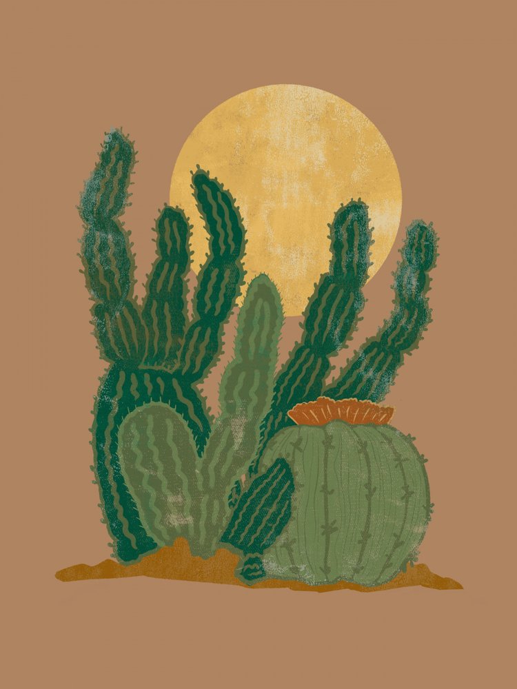 Desert Cacti Moon by Nikita Jariwala
