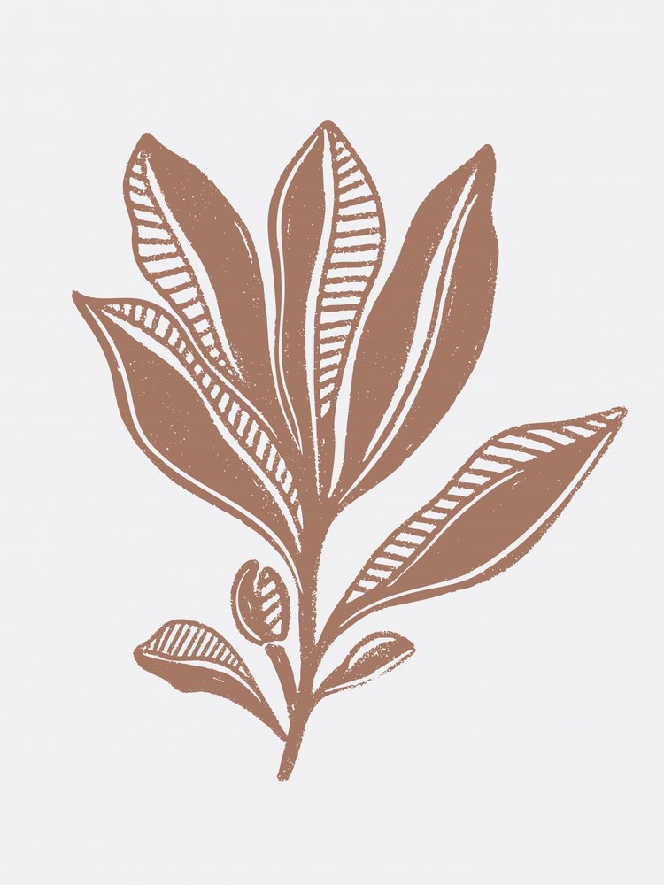 Organic Botanical Sketch by Nikita Jariwala
