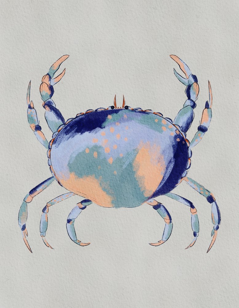 Serene Blue Crab by Nikita Jariwala