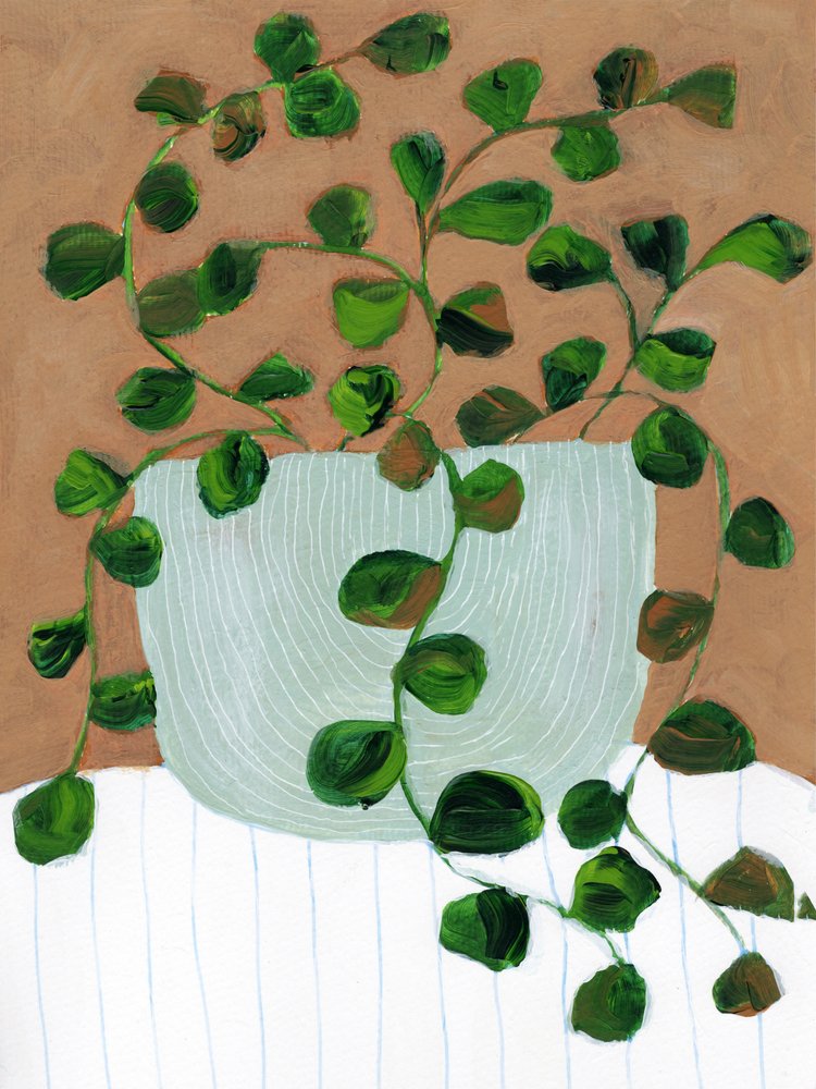 Warm Houseplant Pot by Nikita Jariwala