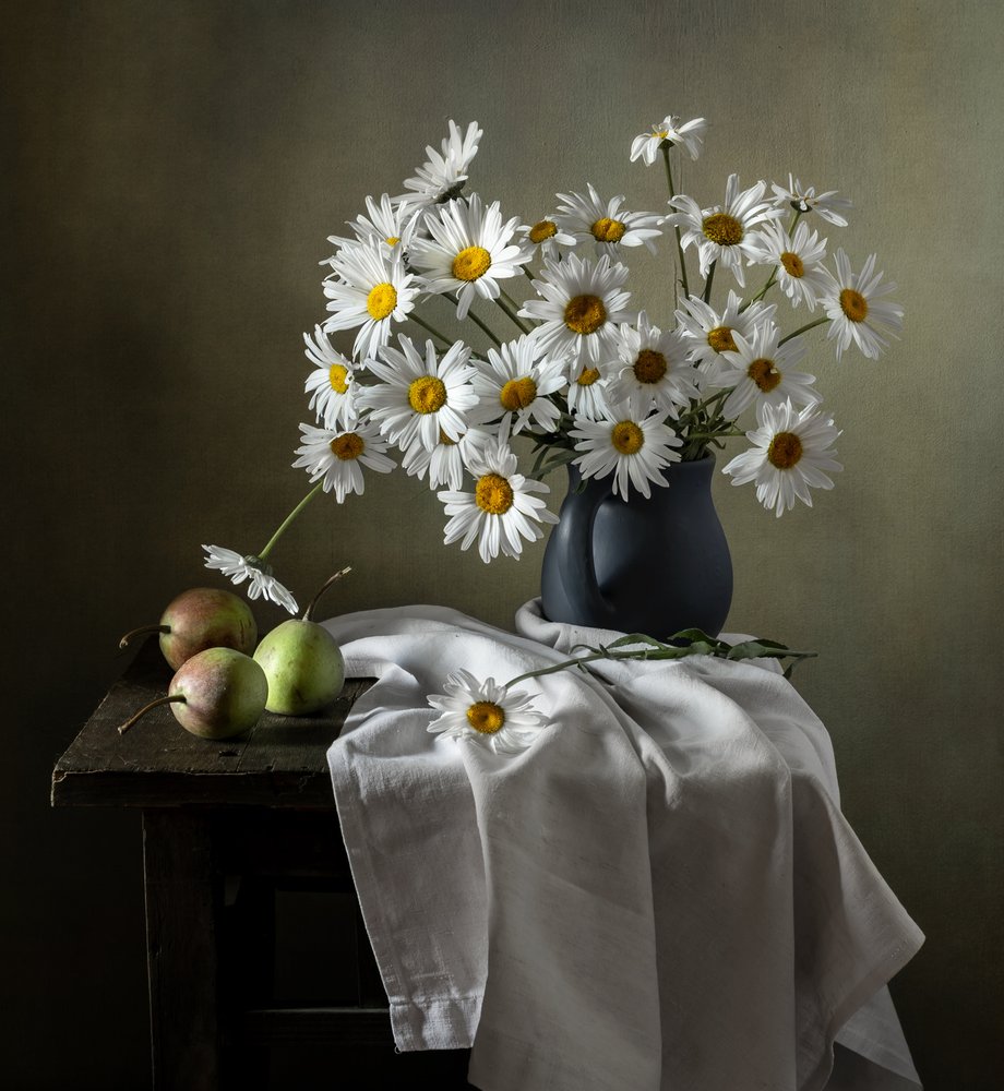 Rustic Daisies Still Life by Olga Aleksandrovna