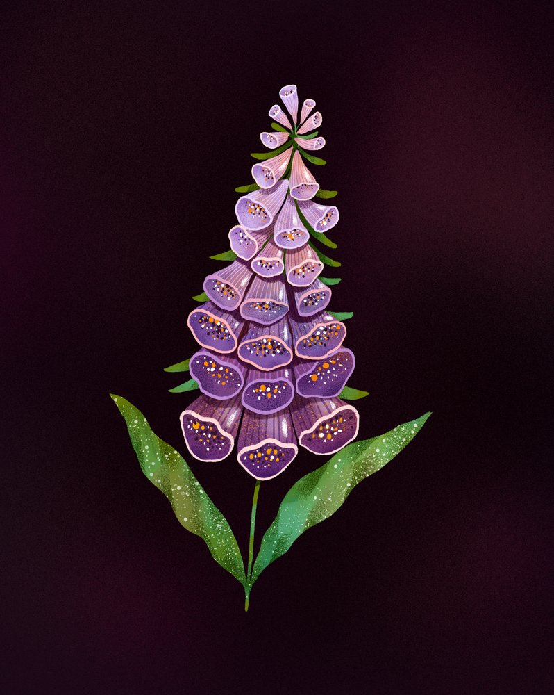 Elegant Purple Foxglove by Olga Skomorokhova