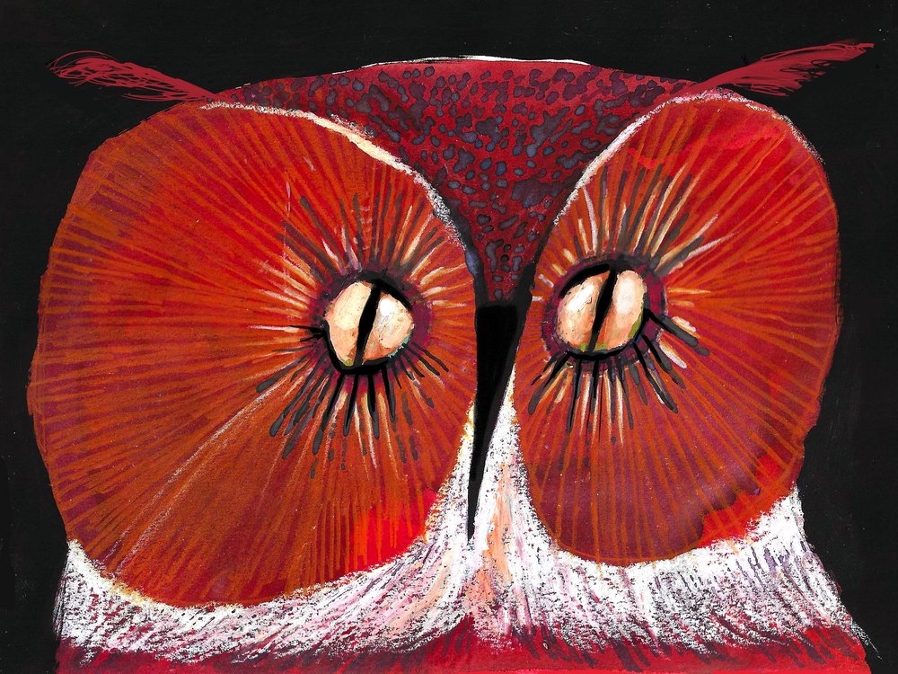 Intense Red Owl by Olga Skomorokhova
