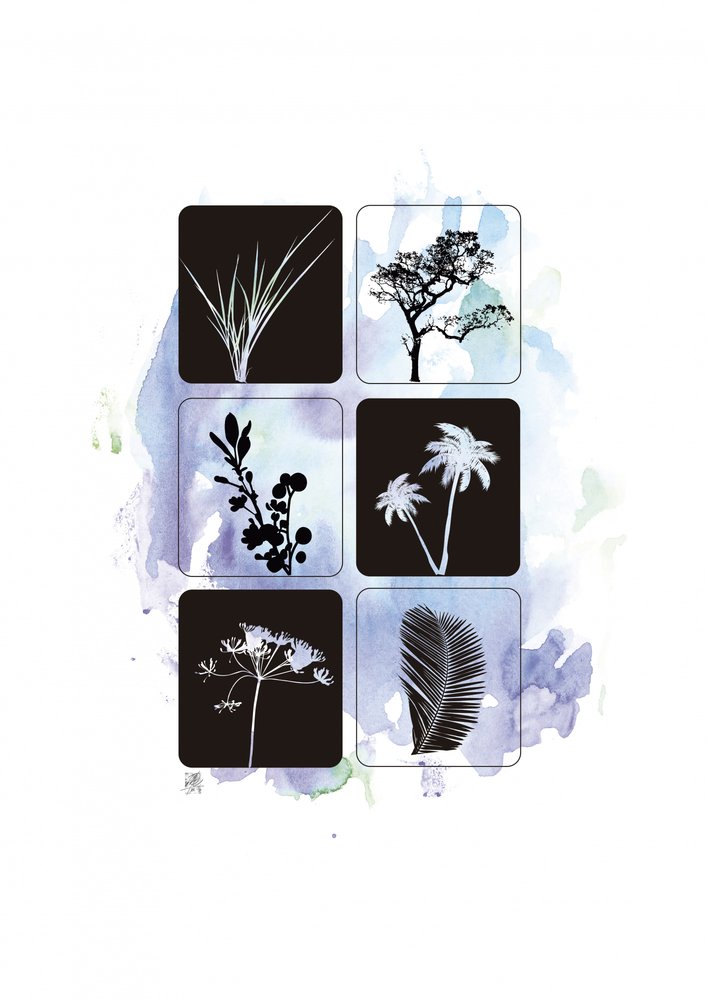 Botanical Silhouettes in Watercolor by Osvaldo Russo