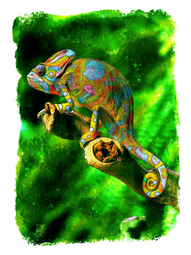 Vibrant Jungle Chameleon by Osvaldo Russo