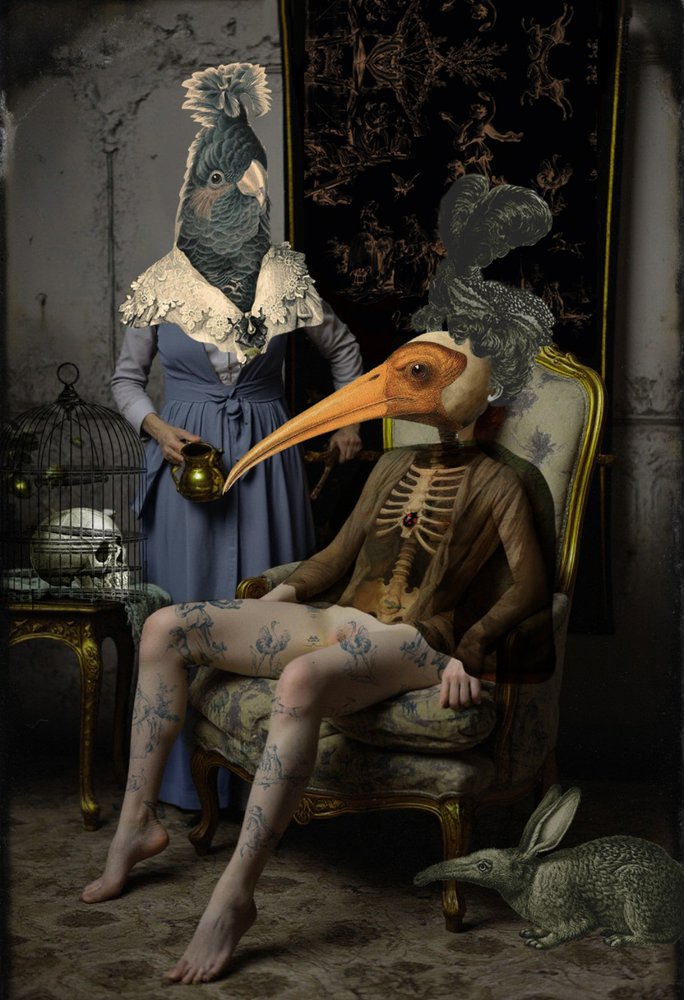 Surreal Bird Figures by Pascal Bouchet-Spiegel