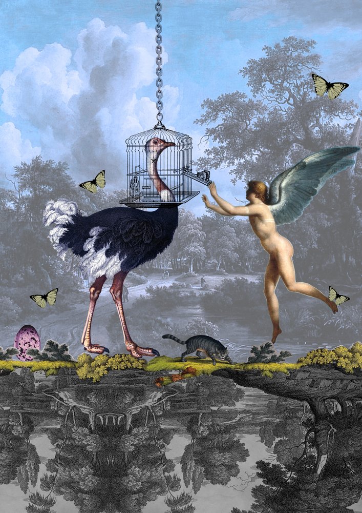 Surreal Ostrich Angel Dream by Pascal Bouchet-Spiegel