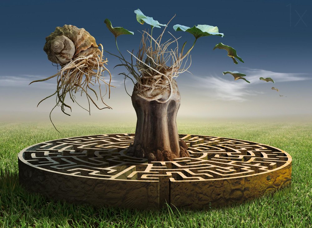 Dreamscape Labyrinth by Radoslav Penchev