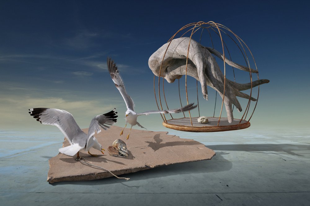 Seagulls Escape Surreal Cage by Radoslav Penchev