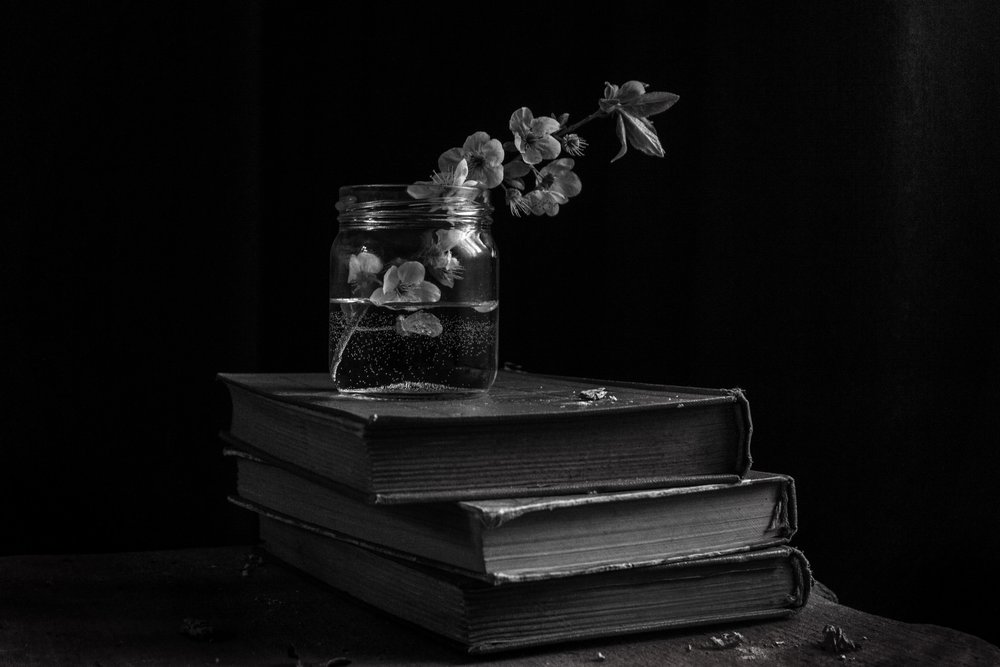 Moody Blooms on Books by Ramiz Sahin