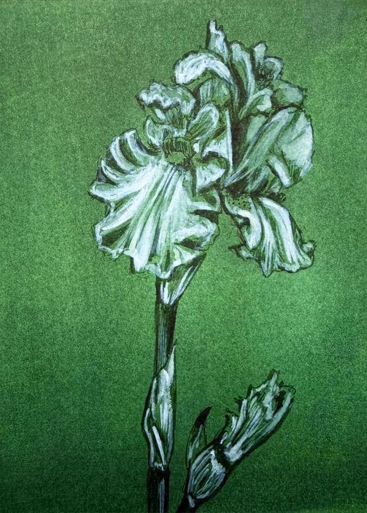 Elegant Green Iris by Renee Machan Cottagecore Artist