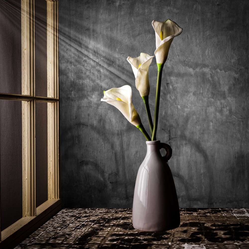 Calla Lilies In Sunlight by Rob Ryan
