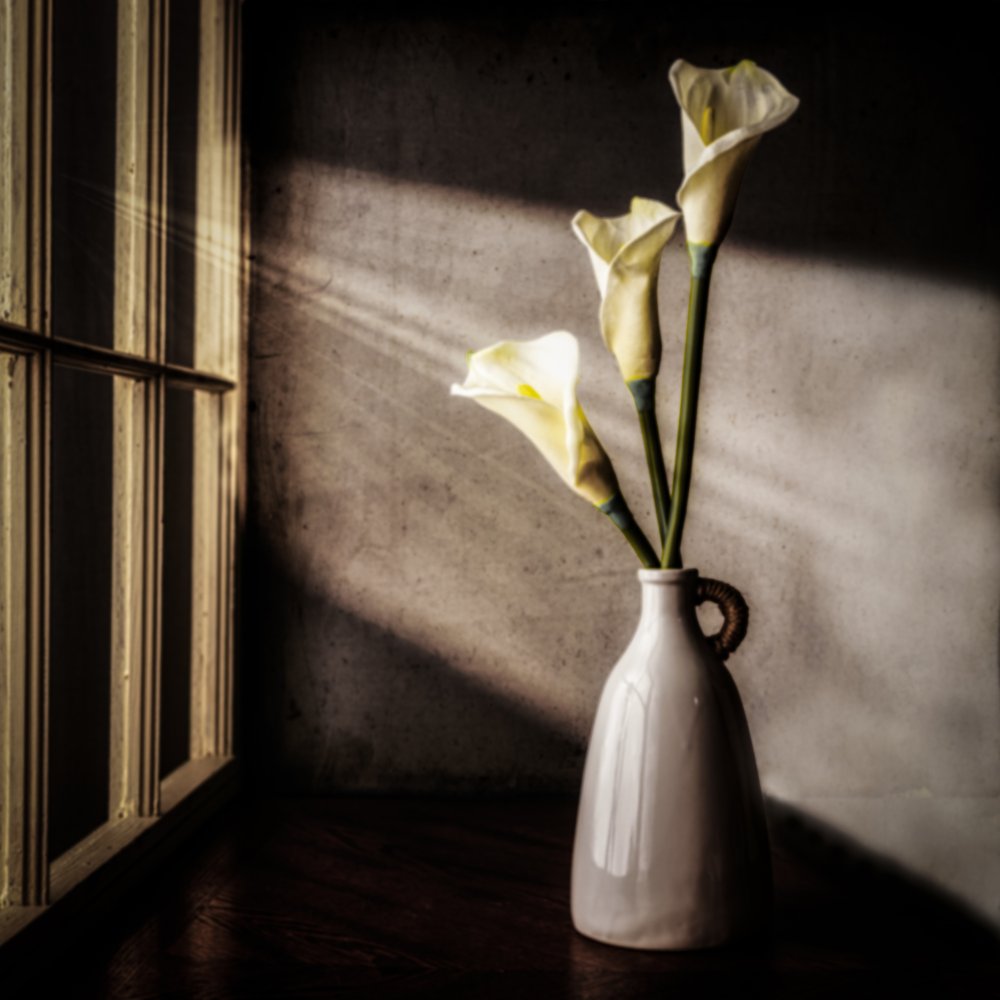 Calla Lilies in Window Light by Rob Ryan