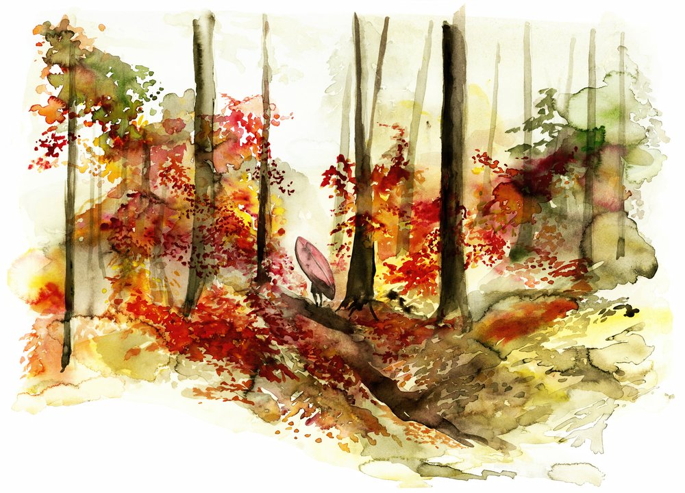 Autumn Forest Surf Journey by RodMacIver