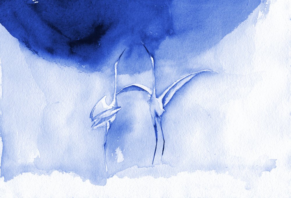 Elegant Blue Cranes by RodMacIver
