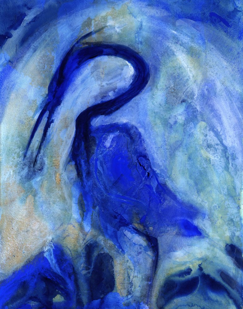 Elegant Blue Heron by RodMacIver
